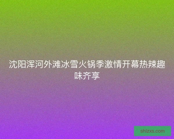 沈阳浑河外滩冰雪火锅季激情开幕热辣趣味齐享